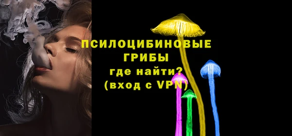 спайс Алексин